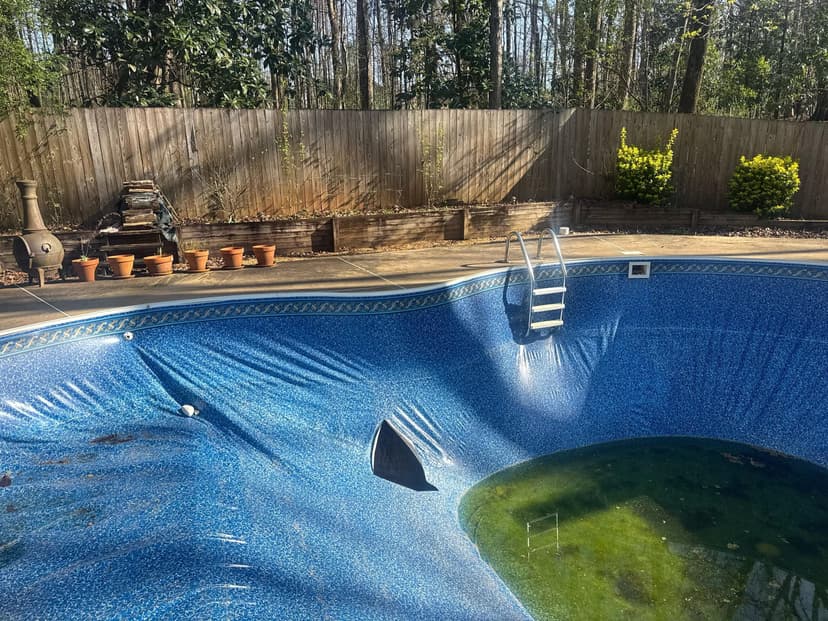 reline a pool and address tree root infiltration