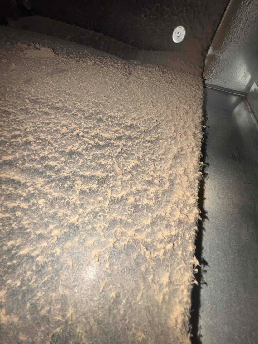 clean the hvac plenum and blower