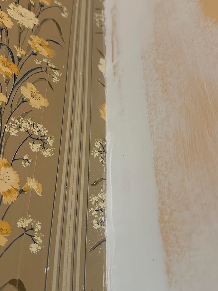 drywall tape replacement and remudding