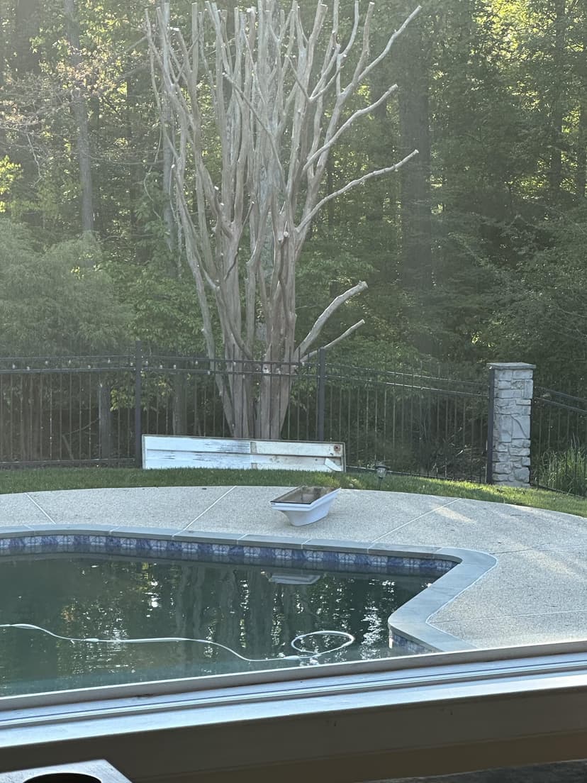 replace an old diving board with a new 8 foot sr smith model