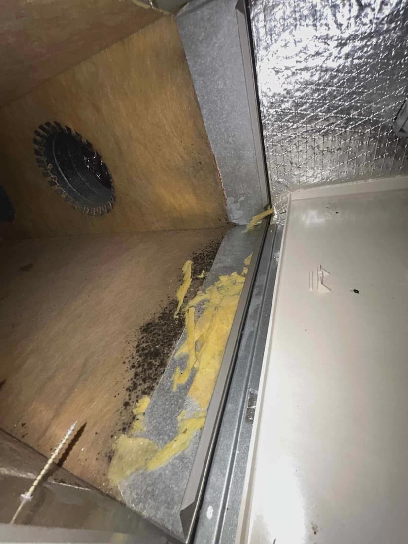 install an air scrubber with uv light